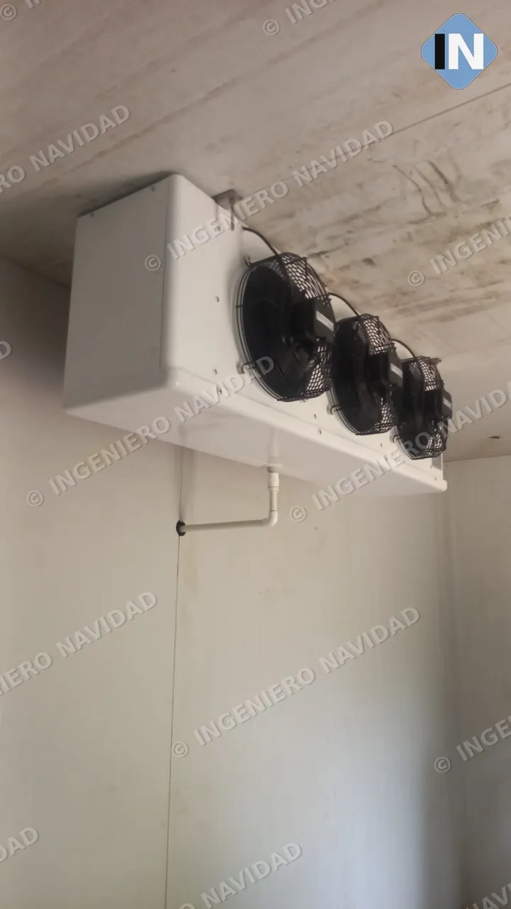 Evaporator inside the Comecara cold room